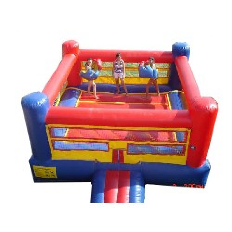 Bouncy Boxing Ring (including Gloves)