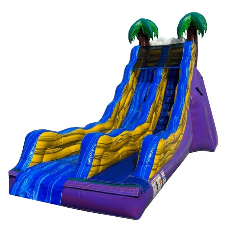 Purple Oasis Dry Slide