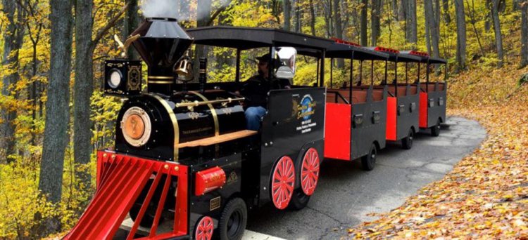 Trackless Train Rental